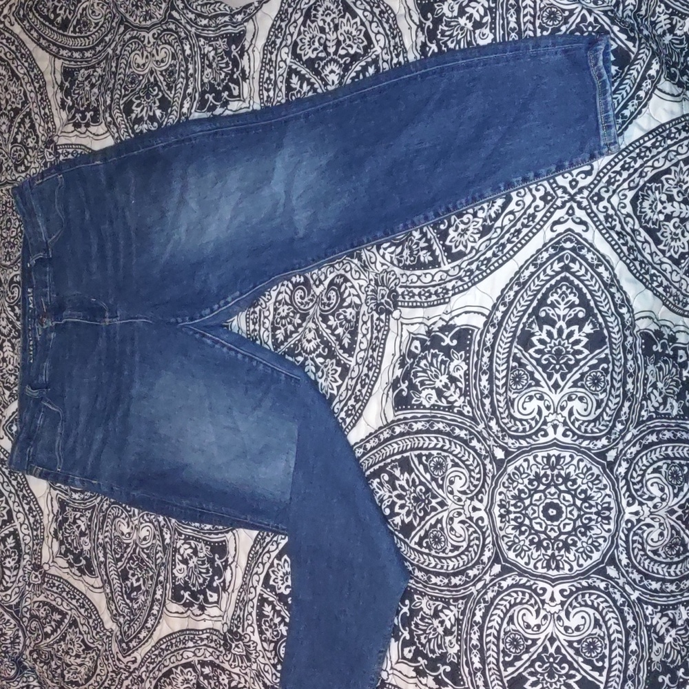 American Eagle NE(X)T LEVEL STRETCH curvy Hi-Rise Jegging size 16